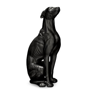 Greyhound Bisc. Black